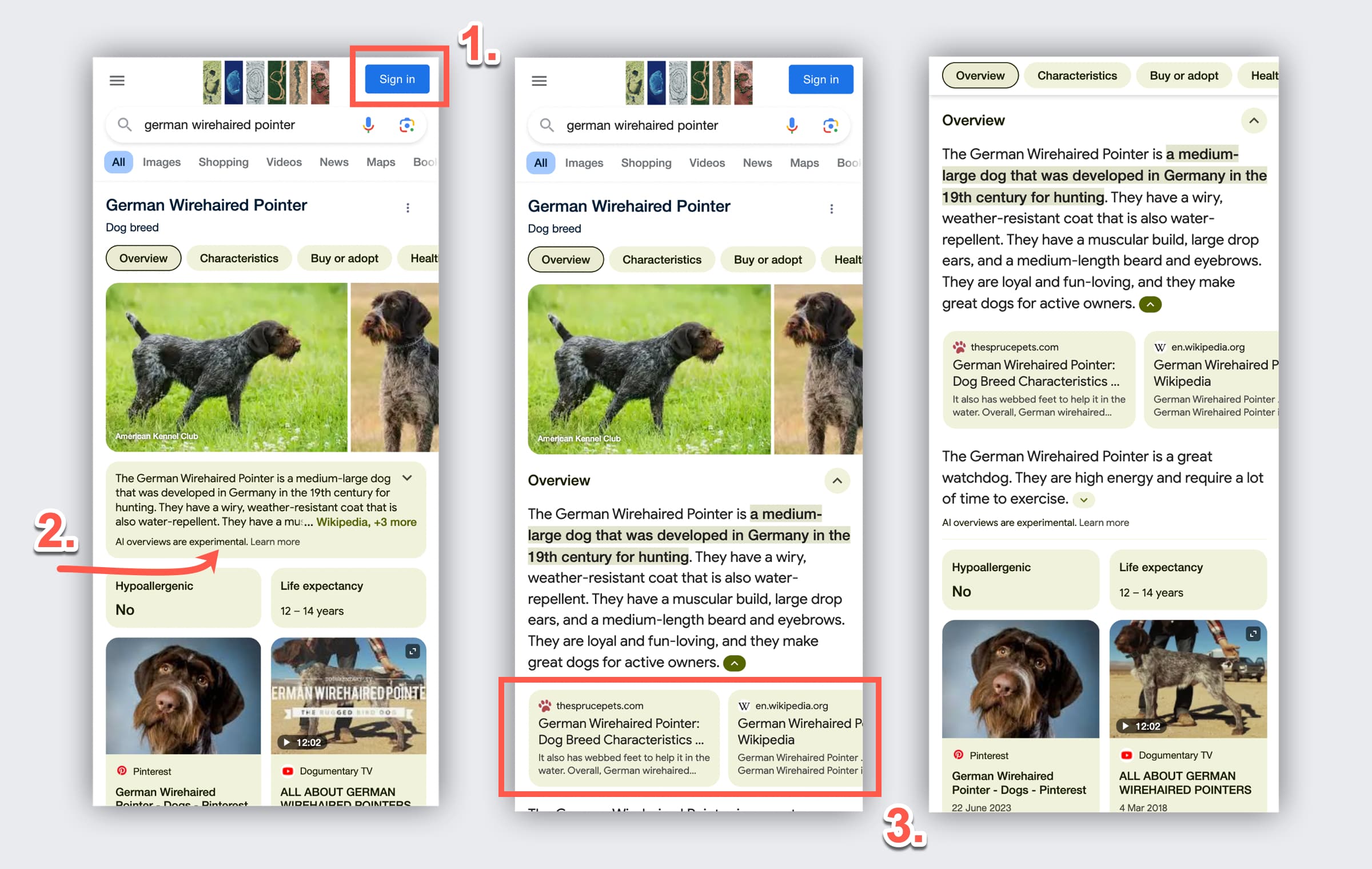 AI SEO Knowledge Panel - Image 4