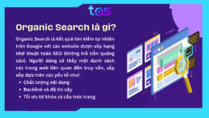 AI SEO Organic Search